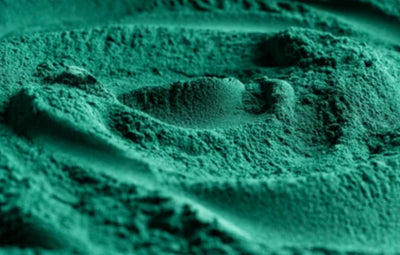 Chlorophyll Powder