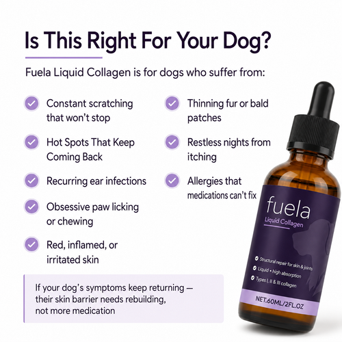 Fuela Premium Liquid Collagen
