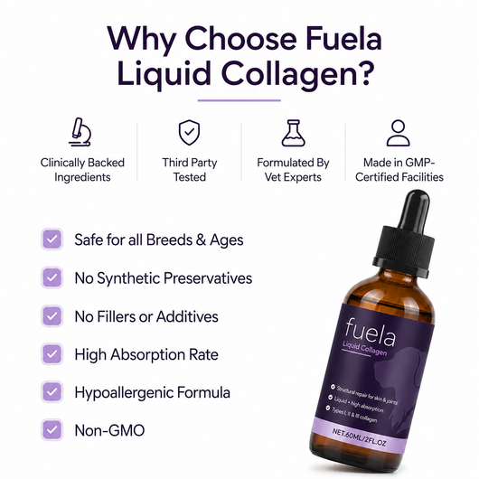Fuela Premium Liquid Collagen