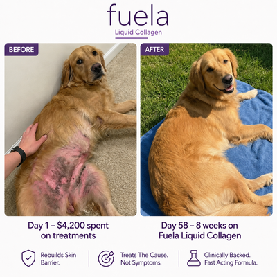Fuela Premium Liquid Collagen