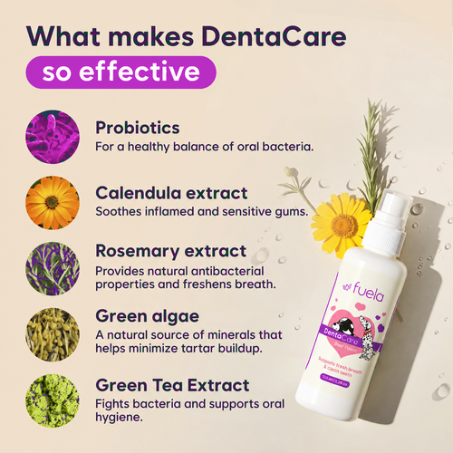 DentaCare - Dogs/Cats
